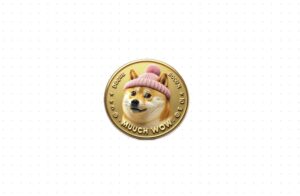 Dogwifhat Coin