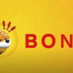 Bonk Coin